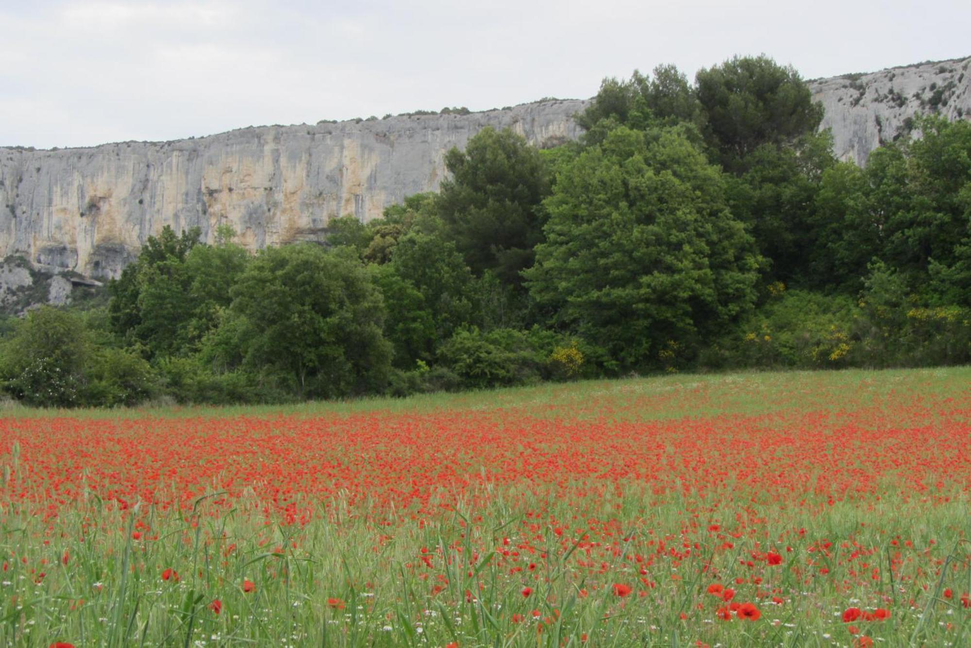 Villa Les Cistes Lioux Esterno foto