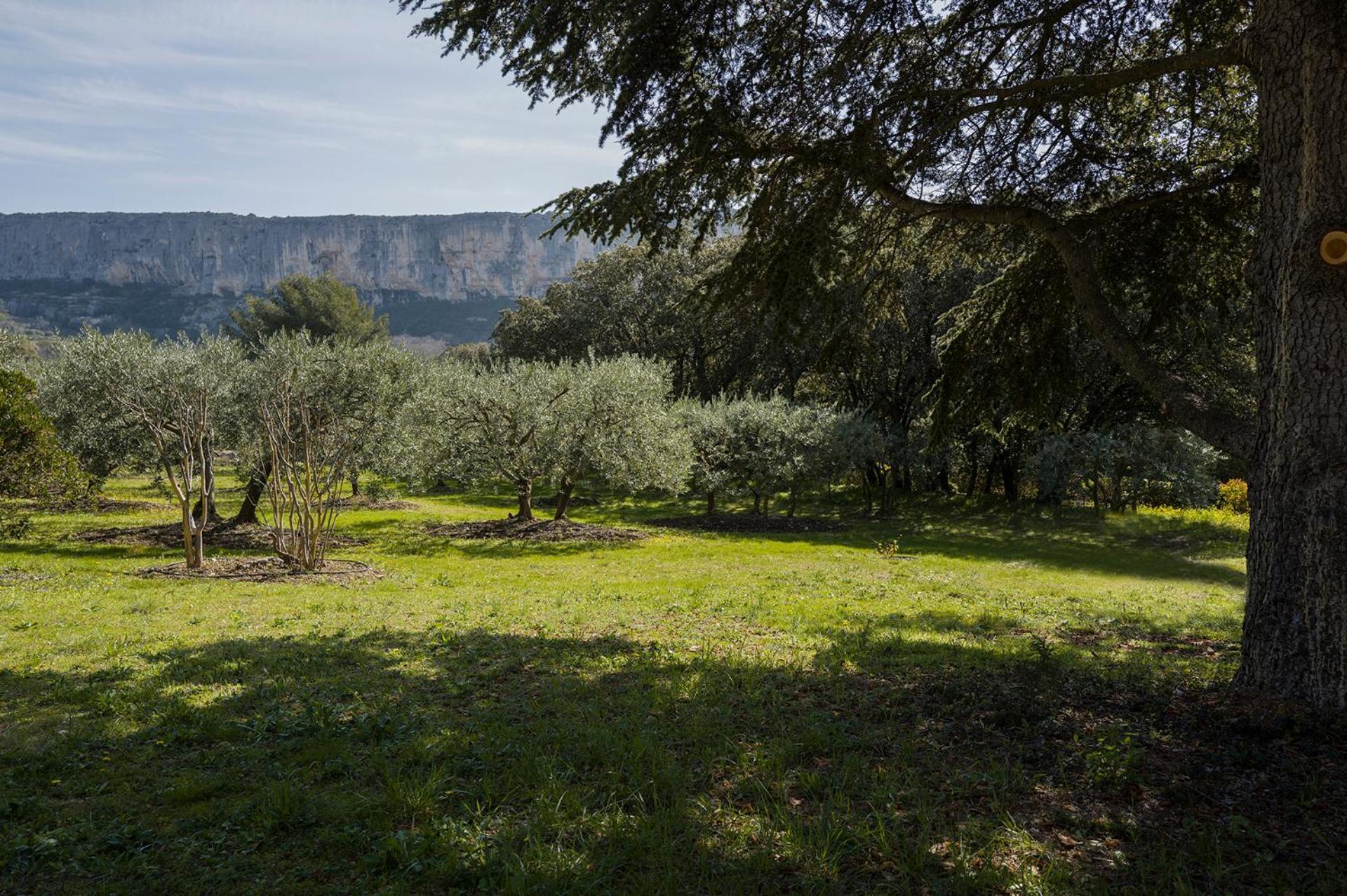 Villa Les Cistes Lioux Esterno foto