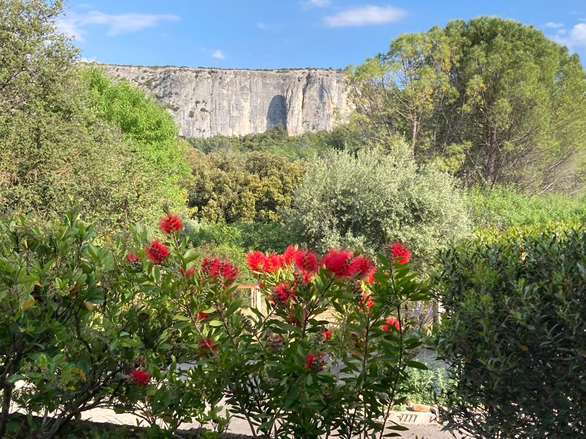 Villa Les Cistes Lioux Esterno foto